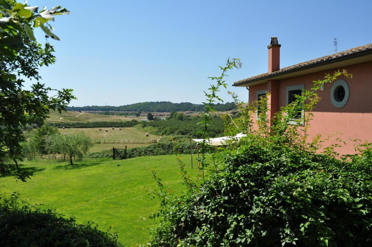 Casale Vicino Al Golf Nazionale Bed & Breakfast Monterosi ภายนอก รูปภาพ