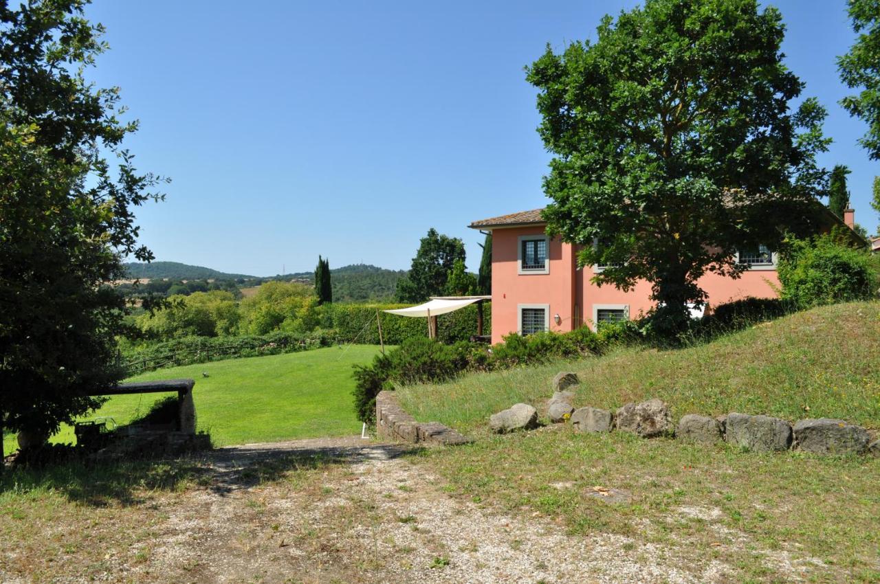 Casale Vicino Al Golf Nazionale Bed & Breakfast Monterosi ภายนอก รูปภาพ
