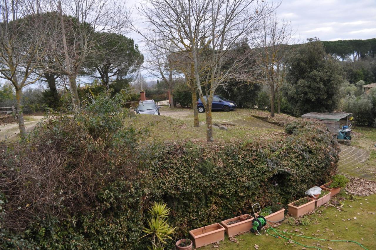 Casale Vicino Al Golf Nazionale Bed & Breakfast Monterosi ภายนอก รูปภาพ
